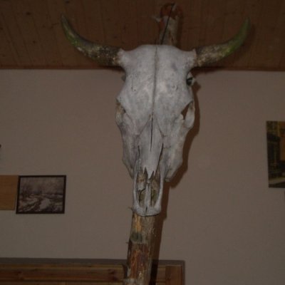 Fotografie 16 z galerie Maškarní bál