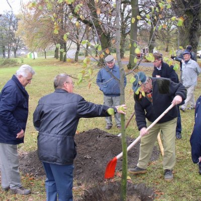 Fotografie 9 z galerie Odhalení památníku pro včelaře (ZO ČSV Čížová)