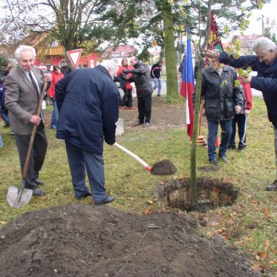 Fotografie 10 z galerie Odhalení památníku pro včelaře (ZO ČSV Čížová)