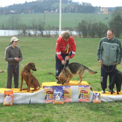 Fotografie 8 z galerie Běhochod - závody psů