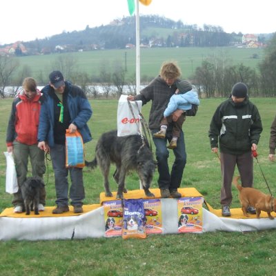 Fotografie 9 z galerie Běhochod - závody psů