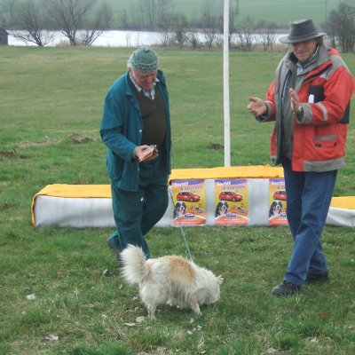 Fotografie 12 z galerie Běhochod - závody psů