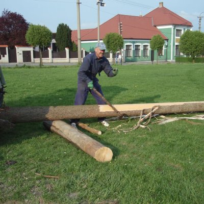 Fotografie 1 z galerie Stavění máje v Čížové