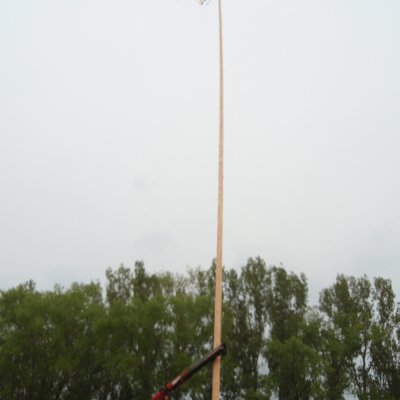 Fotografie 11 z galerie Stavění máje v Čížové