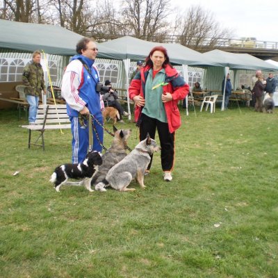 Fotografie 3 z galerie Běhochod