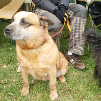 Fotografie 4 z galerie Běhochod