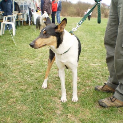 Fotografie 5 z galerie Běhochod