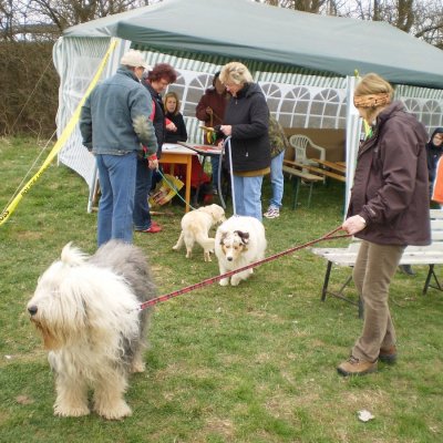 Fotografie 8 z galerie Běhochod