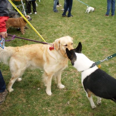 Fotografie 10 z galerie Běhochod