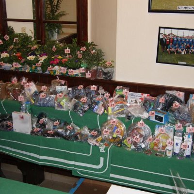 Fotografie 4 z galerie Ples svazu zahrádkářů