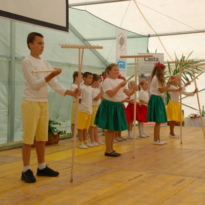 Fotografie 59 z galerie Slavnostní vyhlášení výsledků Vesnice roku 2010 - Jihočeský kraj