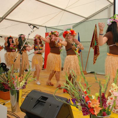 Fotografie 81 z galerie Slavnostní vyhlášení výsledků Vesnice roku 2010 - Jihočeský kraj