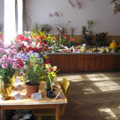 Fotografie 1 z galerie Zahrádkáři Čížová - výstava ovoce, zeleniny, květin, bylinek a včelařů