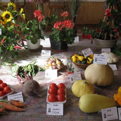 Fotografie 3 z galerie Zahrádkáři Čížová - výstava ovoce, zeleniny, květin, bylinek a včelařů