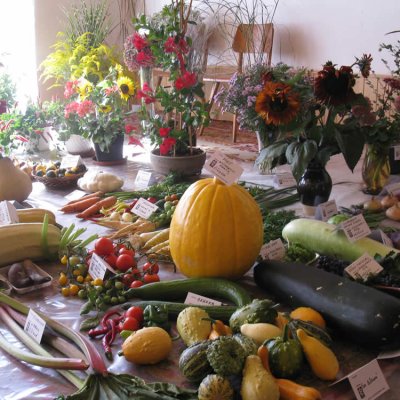 Fotografie 4 z galerie Zahrádkáři Čížová - výstava ovoce, zeleniny, květin, bylinek a včelařů