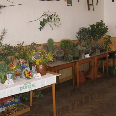 Fotografie 5 z galerie Zahrádkáři Čížová - výstava ovoce, zeleniny, květin, bylinek a včelařů