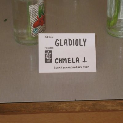 Fotografie 7 z galerie Zahrádkáři Čížová - výstava ovoce, zeleniny, květin, bylinek a včelařů