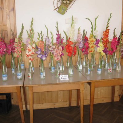 Fotografie 8 z galerie Zahrádkáři Čížová - výstava ovoce, zeleniny, květin, bylinek a včelařů