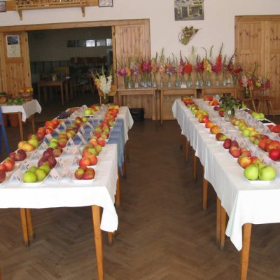 Fotografie 10 z galerie Zahrádkáři Čížová - výstava ovoce, zeleniny, květin, bylinek a včelařů