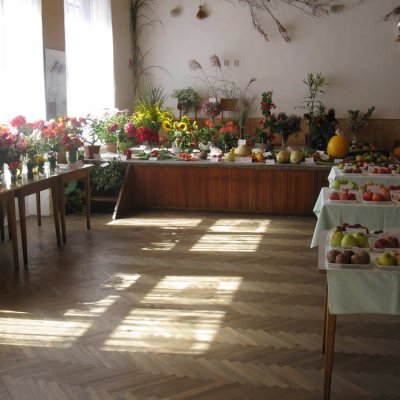 Fotografie 11 z galerie Zahrádkáři Čížová - výstava ovoce, zeleniny, květin, bylinek a včelařů
