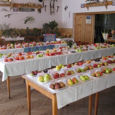 Fotografie 12 z galerie Zahrádkáři Čížová - výstava ovoce, zeleniny, květin, bylinek a včelařů