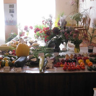 Fotografie 15 z galerie Zahrádkáři Čížová - výstava ovoce, zeleniny, květin, bylinek a včelařů