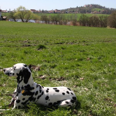 Fotografie 7 z galerie Běhochod