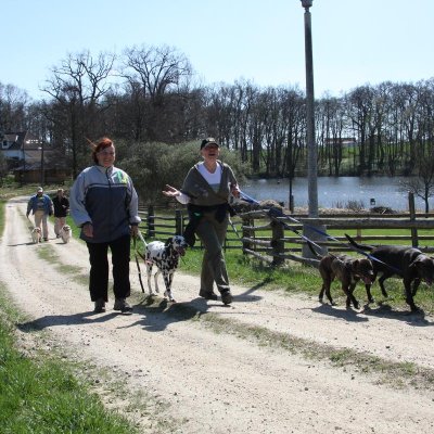 Fotografie 13 z galerie Běhochod