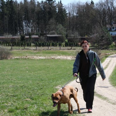 Fotografie 14 z galerie Běhochod