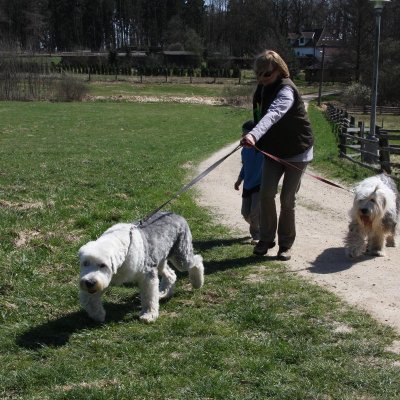 Fotografie 17 z galerie Běhochod