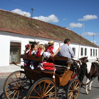 Fotografie 24 z galerie Čížovské halekačky