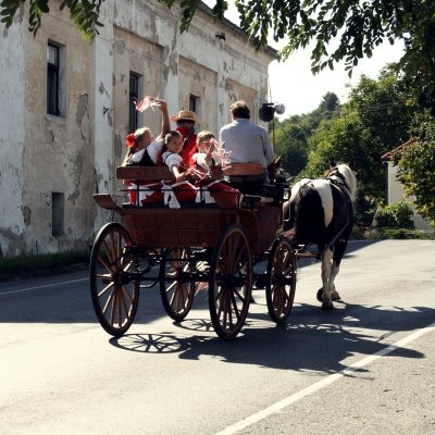 Fotografie 60 z galerie Čížovské halekačky