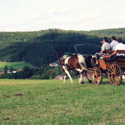 Fotografie 84 z galerie Čížovské halekačky