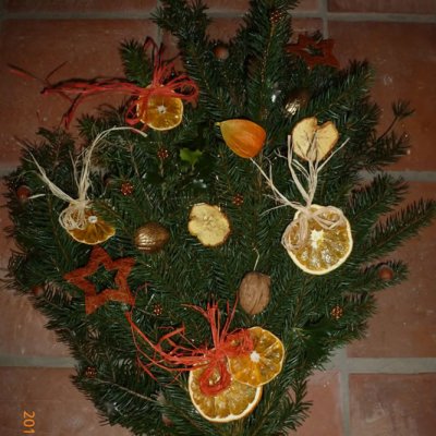 Fotografie 7 z galerie Děti v Topělci - první den adventu