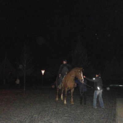 Fotografie 2 z galerie Martin na bílém koni