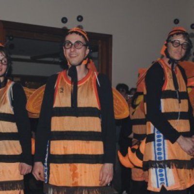 Fotografie 7 z galerie Maškarní bál