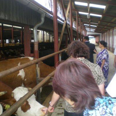 Fotografie 35 z galerie Návštěva starostů z Tádžikistánu v Čížové