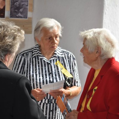 Fotografie 8 z galerie 2. setkání rodáků a přátel Borečnice