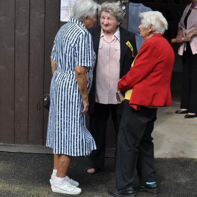 Fotografie 9 z galerie 2. setkání rodáků a přátel Borečnice