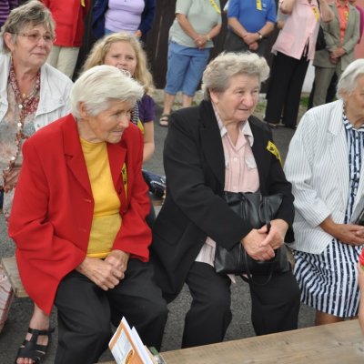 Fotografie 47 z galerie 2. setkání rodáků a přátel Borečnice