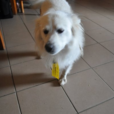 Fotografie 95 z galerie 2. setkání rodáků a přátel Borečnice