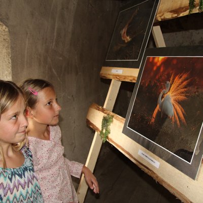 Fotografie 9 z galerie Výstava Libora Šejny na špejcharu