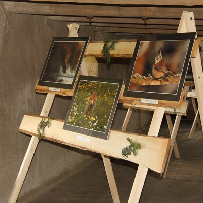 Fotografie 12 z galerie Výstava Libora Šejny na špejcharu