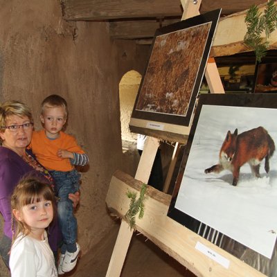 Fotografie 13 z galerie Výstava Libora Šejny na špejcharu