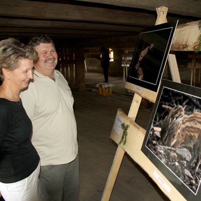 Fotografie 16 z galerie Výstava Libora Šejny na špejcharu