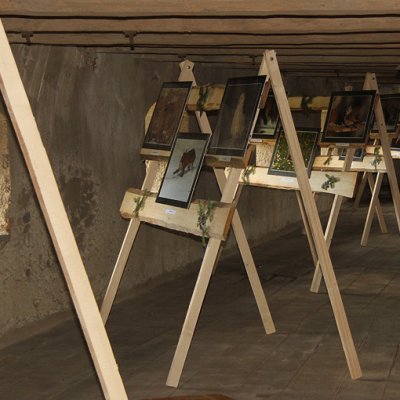 Fotografie 17 z galerie Výstava Libora Šejny na špejcharu