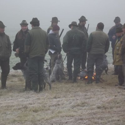 Fotografie 2 z galerie Podzimní zkoušky loveckých psů