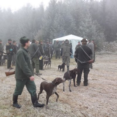 Fotografie 3 z galerie Podzimní zkoušky loveckých psů
