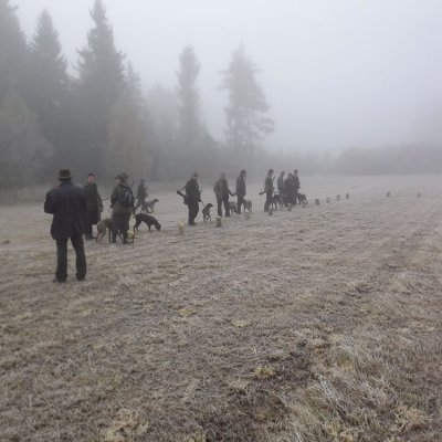 Fotografie 4 z galerie Podzimní zkoušky loveckých psů