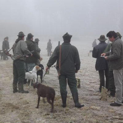 Fotografie 6 z galerie Podzimní zkoušky loveckých psů